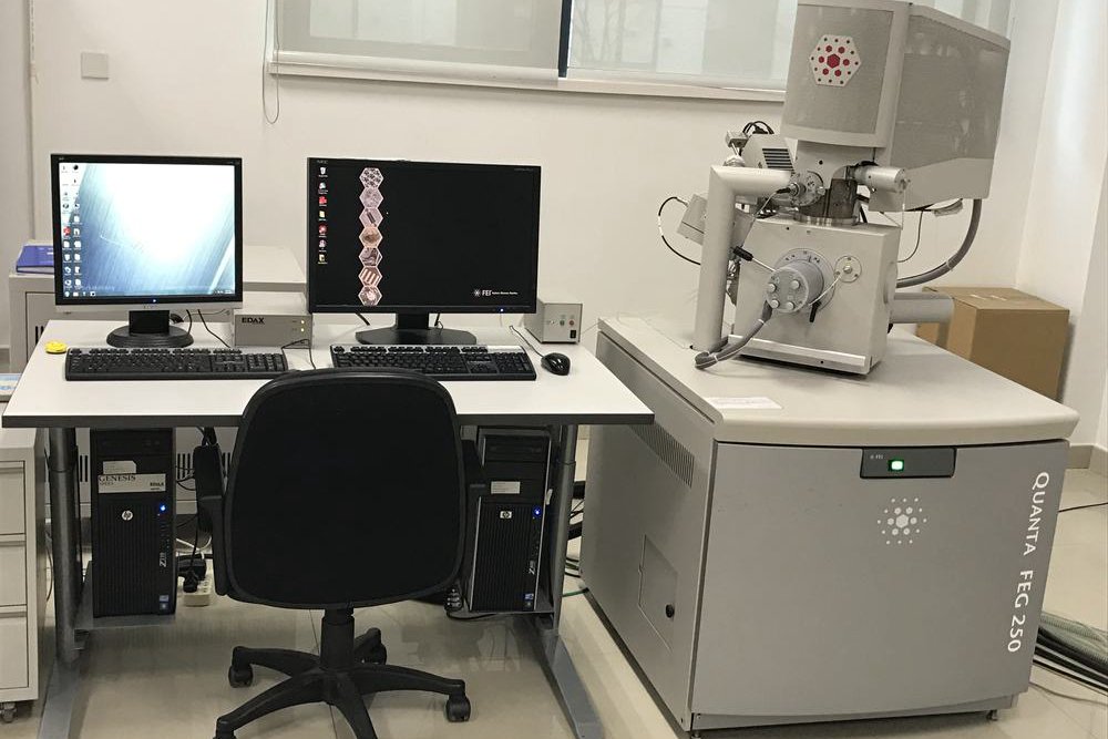 Electron Backscattering Diffractometer (EBSD)